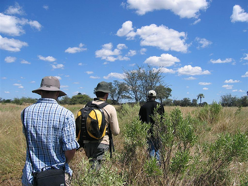 Botswana Safari Tour Botswana Safari Tour, Photo by dornfeld, Flickr