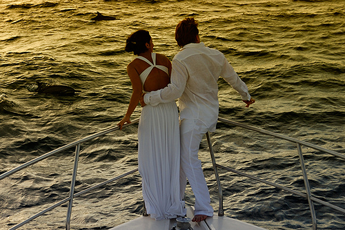 Newlywed Couple on a Honeymoon in Maldives Took Dolphin Cruise, Photo: muha... Flickr