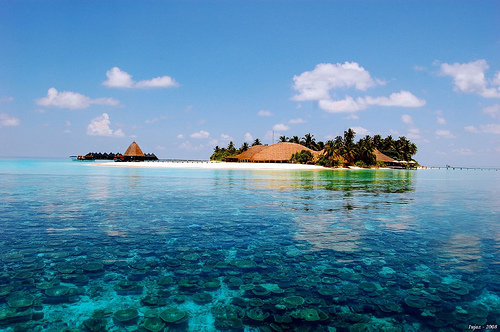 Maldives, Angaga Island Resort & Spa Photo by iujaz, Flickr Maldives, Angaga Island Resort & Spa Photo by iujaz, Flickr