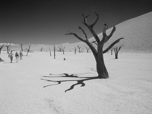 Dead Vlei is So Dry, There Is Not Enough Moisture For Dry Trees to Decompose, Photo: gregw66, Flickr