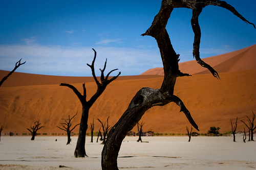 The Dead trees of Dead Vlei in Namibia, Photo: monsieur rico, Flickr