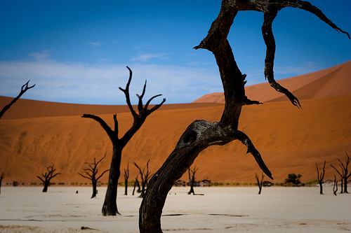 The Dead trees of Dead Vlei in Namibia, Photo: monsieur rico, Flickr The Dead trees of Dead Vlei in Namibia, Photo: monsieur rico, Flickr