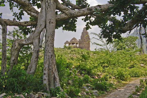 Bhangarh Fort Located Within Lush Forest, Photo: Tushar Pokle, Flickr