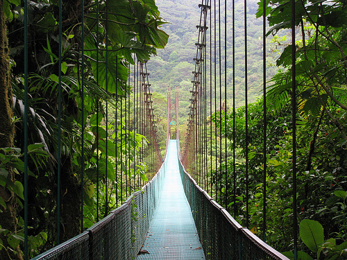Suspense Bridge at the Monteverde Cloud Forest Reserve, Photo: baxterclaus, Flickr Suspense Bridge at the Monteverde Cloud Forest Reserve, Photo: baxterclaus, Flickr