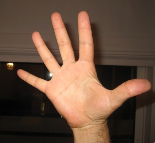 Moutza Gesture is Highly Offensive and Insulting in Greece, Photo: NikoSilver, Wikipedia Moutza Gesture is Highly Offensive and Insulting in Greece, Photo: NikoSilver, Wikipedia