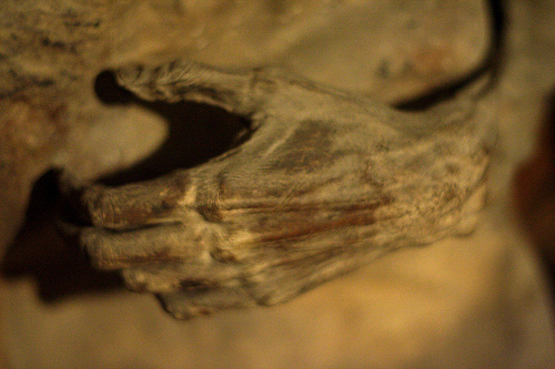 Preserved Mummy of the Church of the Dead aka Chiesa dei Morti in Urbania, Italy, Photo: sterte, Flickr