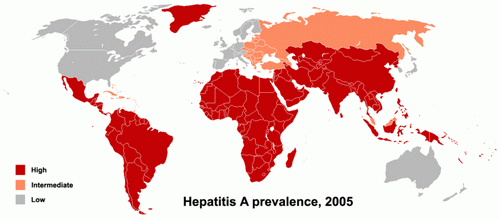 Hepatitis A - Map of Prevalence, Source: Center for Disease Control and Prevention Travelers' Health Yellow Book