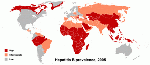 Hepatitis B - Map of Prevalence, Source: Center for Disease Control and Prevention Travelers' Health Yellow Book