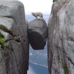 Kjeragbolten, Norway Fearless Sheep on Top of Kjeragbolten in Norway, Photo: 7ty9, Flickr