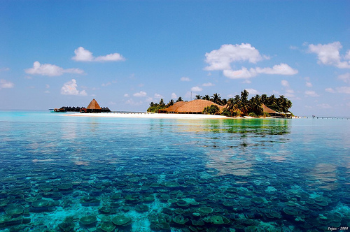 Maldives, Angaga Island Resort & Spa Photo by iujaz, Flickr