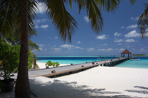 Palm Trees Around White Sand Beach in Maldives, Photo by Mrs eNil, Flickr
