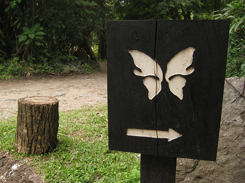This Way to Atitlan Butterfly Sanctuary, Photo: t-dawg, Flickr