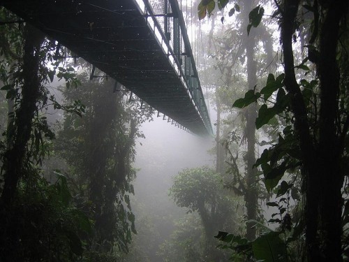 Canopy Bridge Disappears into a Haze of Clouds in Monteverde, Costa Rica, Photo: DirkvdM, Wikipedia