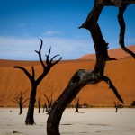 The Dead trees of Dead Vlei in Namibia, Photo: monsieur rico, Flickr