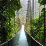Suspense Bridge at the Monteverde Cloud Forest Reserve, Photo: baxterclaus, Flickr