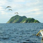 Ilha da Queimada Grande Ilha da Queimada Grande aka Snake Island, Photo Source: itanhaem.sp.gov.br