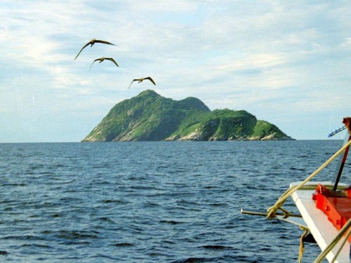 Ilha da Queimada Grande aka Snake Island, Photo Source: itanhaem.sp.gov.br