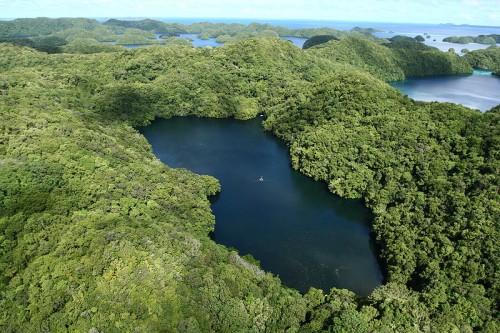 Jellyfish Lake in Papau - Aerial View of the Lake on Eil Malk Island, Photo: Lukas, Wikipedia