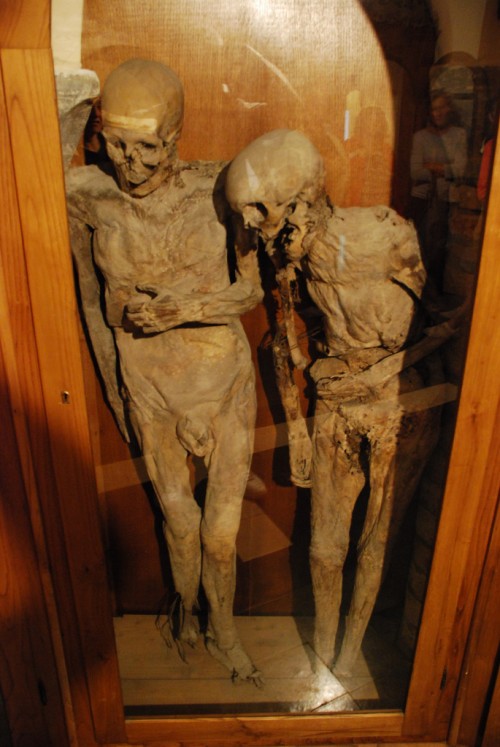 Mummies on a Display in a Glass Casket in Chiesa dei Morti, Urbania, Italy, Photo: Hari Seldon, Flickr