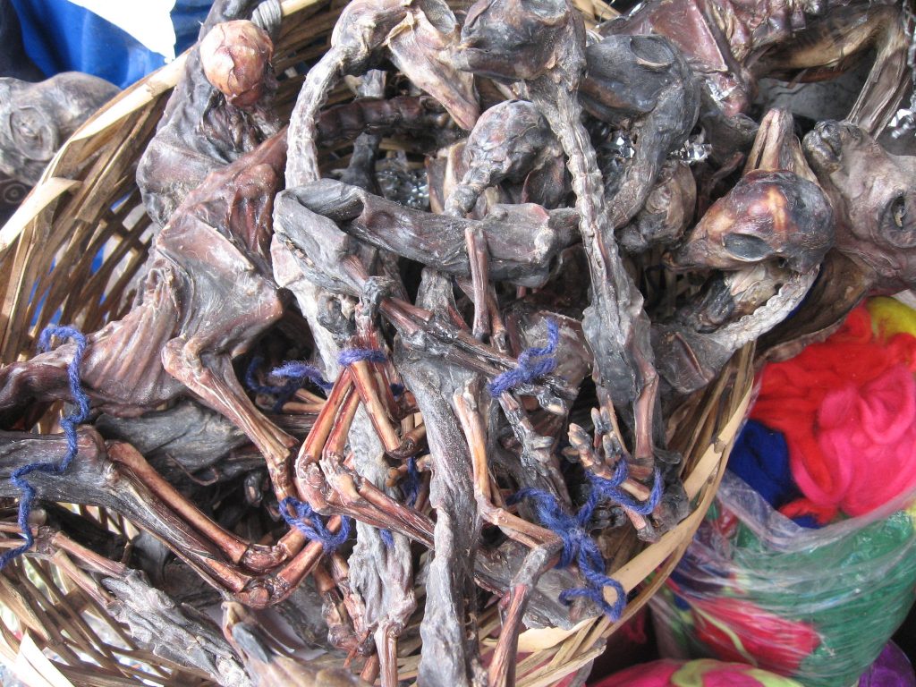 Dried Baby Llamas Sold at the Witch Market in La Paz, Bolivia, Photo: Revolution_Ferg, Flickr