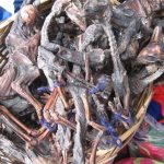 Dried Baby Llamas Sold at the Witch Market in La Paz, Bolivia, Photo: Revolution_Ferg, Flickr