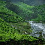 Stream Running Through Kolukkumalai Tea Estate in Munnar, India, Photo by Gigin Krishnan, Unsplash