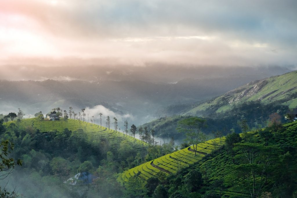 Bre athtaking Landscape of Kolukkumalai Near Munnar in India, Photo by Go to Nandhu Kumar's profile Nandhu Kumar, Unsplash