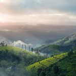 Bre athtaking Landscape of Kolukkumalai Near Munnar in India, Photo by Go to Nandhu Kumar's profile Nandhu Kumar, Unsplash