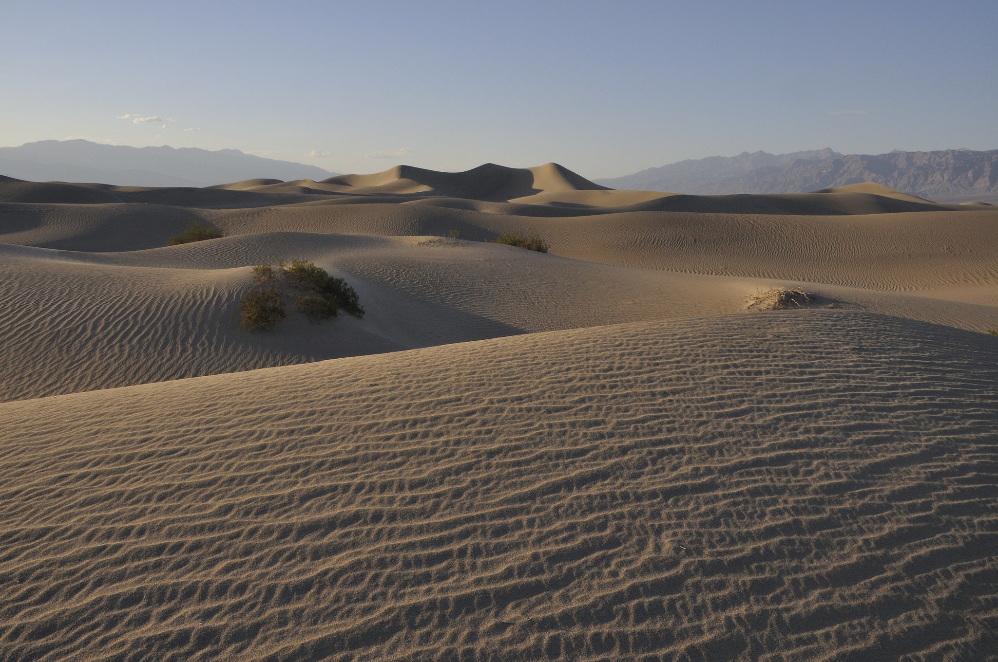 Mesquite Sand Dunes: Where the Sand Meets the Sky