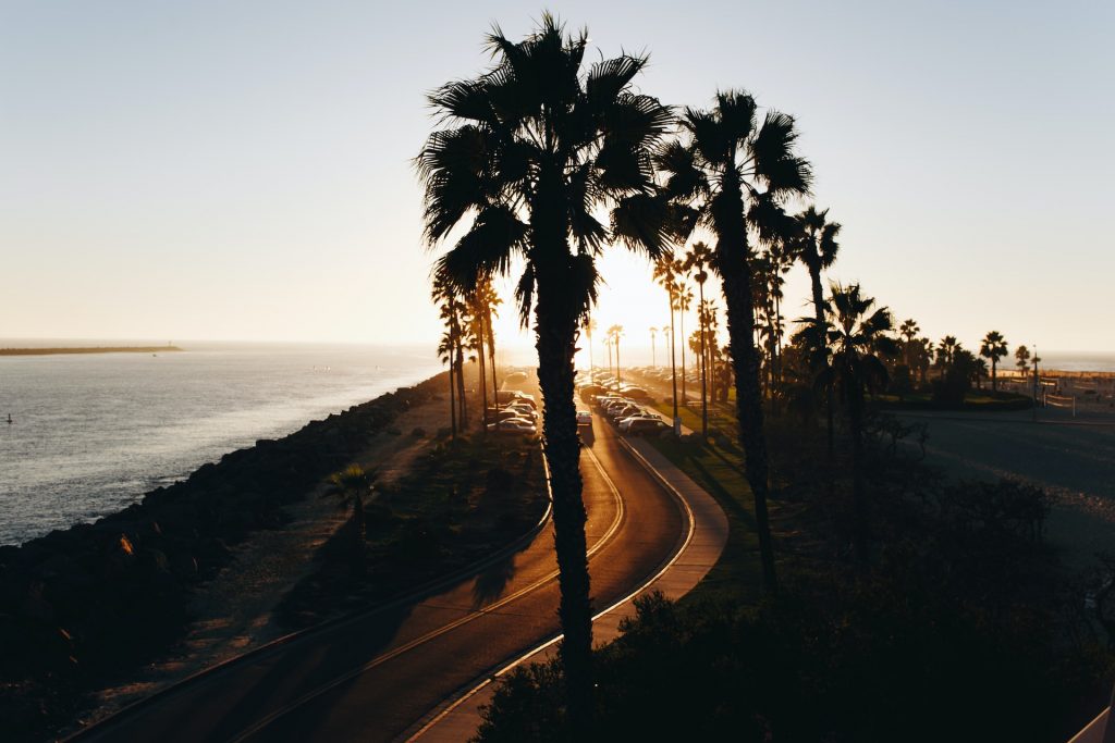 Mission Beach, San Diego, California, USA, Photo by Matthew Hamilton, Unsplash