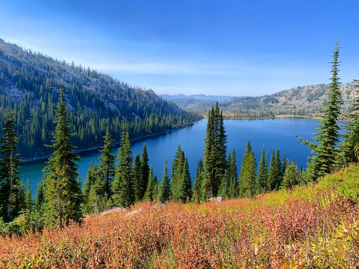 Payette National Forest Near McCall in Idaho, United States, Photo by Porter Raab, Unsplash