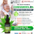 Profile picture of Cannaboost Wellness Hemp Oil