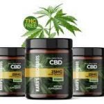 Profile picture of Kara's Orchards CBD Gummies