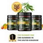 Profile picture of Karas Orchards CBD Gummies